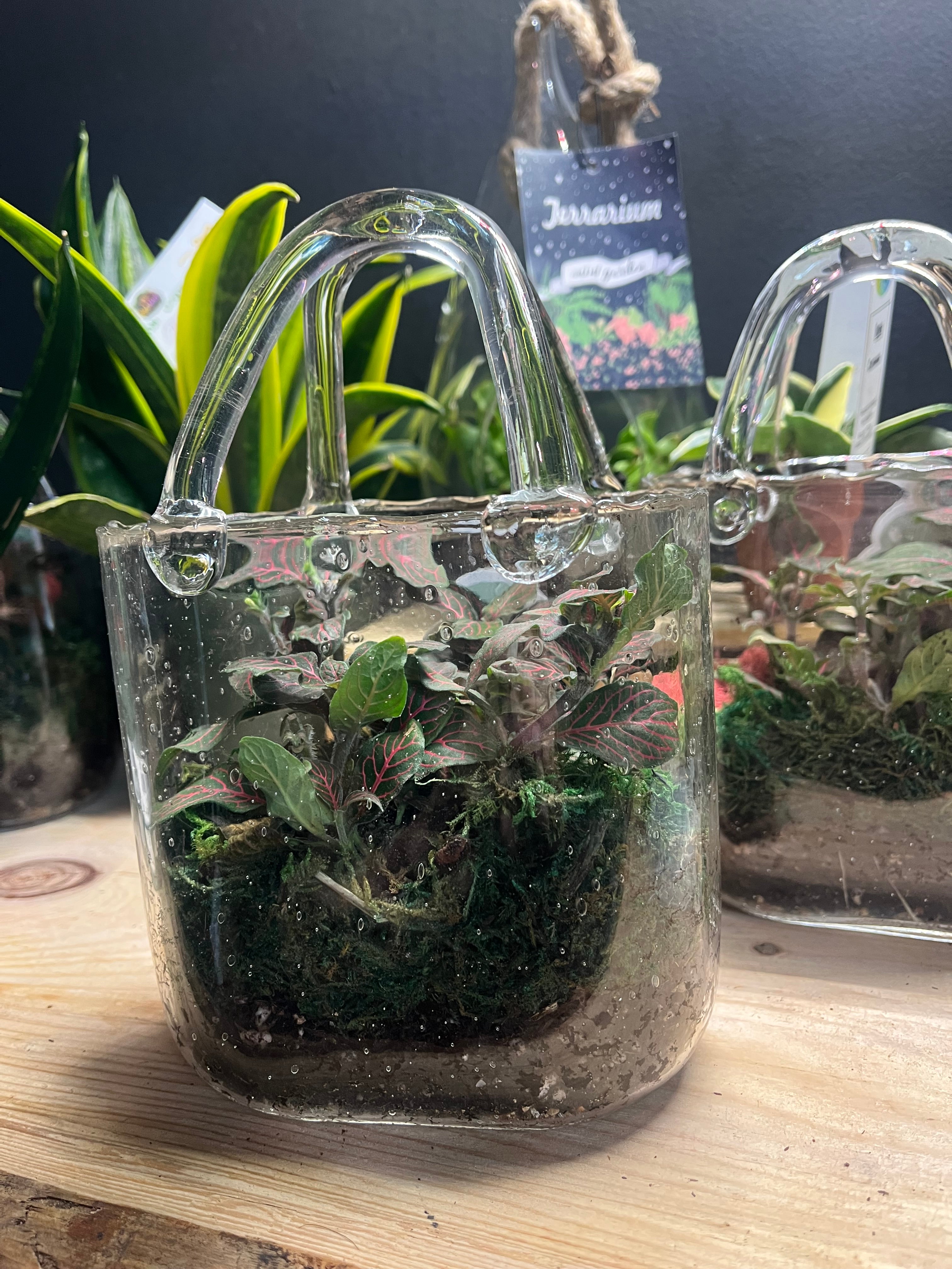 Glass Purse terrarium